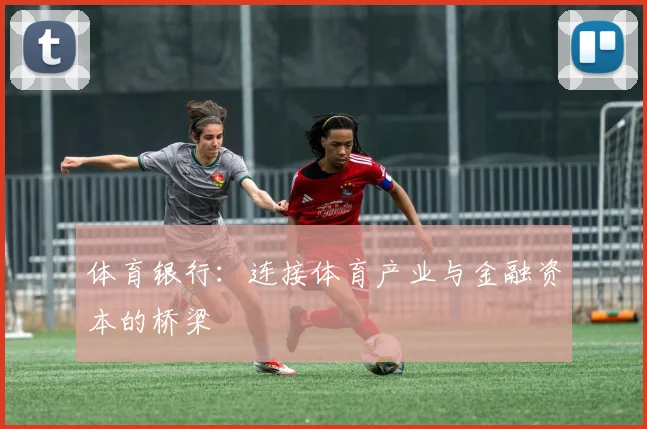 体育银行:连接体育产业与金融资本的桥梁
