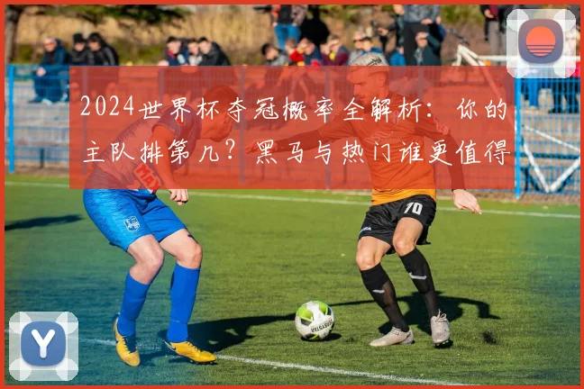 2024世界杯夺冠概率全解析:你的主队排第几?黑马与热门谁更值得期待