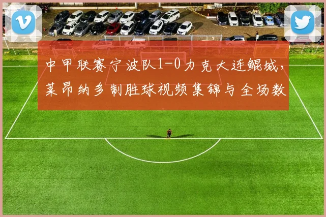 中甲联赛宁波队1-0力克大连鲲城，莱昂纳多制胜球视频集锦与全场数据深度解析